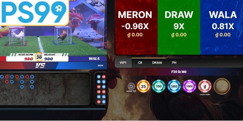 Bảng kèo cược gà đa dạng lựa chọn