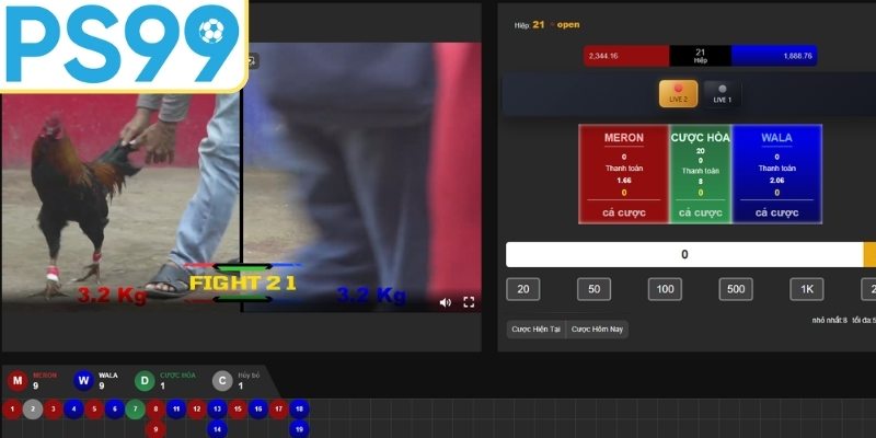 Chiến thuật cược gà cho người mới
