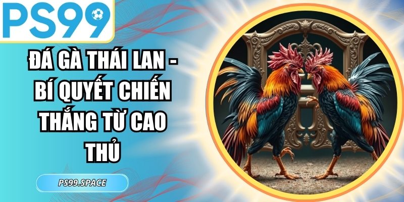 Đá Gà Thái Lan