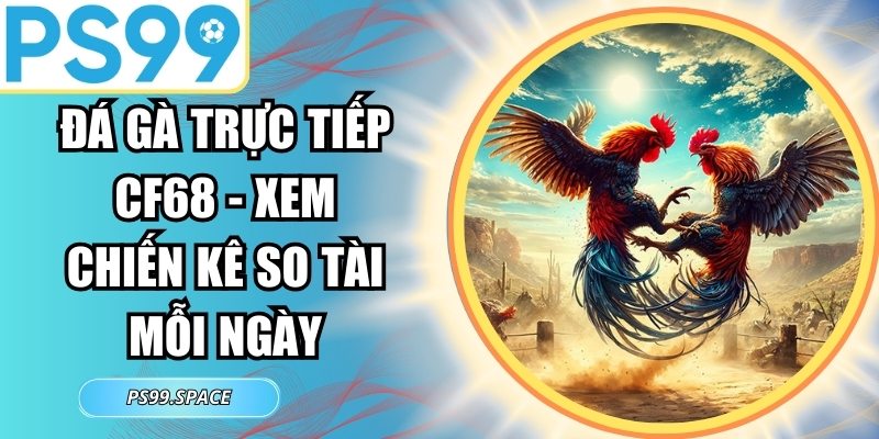 Đá Gà Trực Tiếp CF68
