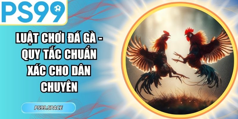Luật Chơi Đá Gà
