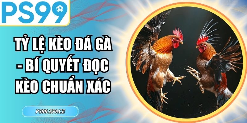 Tỷ Lệ Kèo Đá Gà